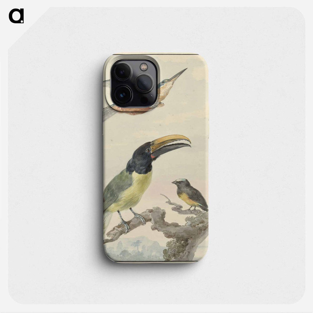 Drie vogels: een IJsvogel, een Prins von Wied's Toekan en een Organist - アールト シューマン Phone Case.