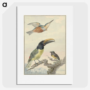 1-59_Aert-Schouman_picture