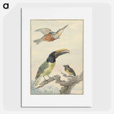 Drie vogels: een IJsvogel, een Prins von Wied's Toekan en een Organist - アールト シューマン Poster.