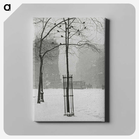 1-59_Alfred-Stieglitz_canvas