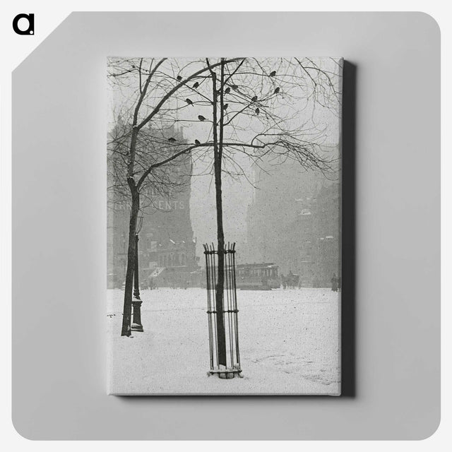 1-59_Alfred-Stieglitz_canvas