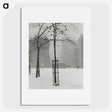 1-59_Alfred-Stieglitz_picture