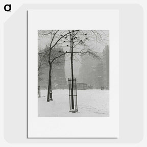 1-59_Alfred-Stieglitz_picture