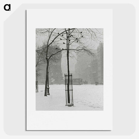 1-59_Alfred-Stieglitz_picture