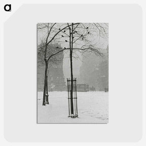 1-59_Alfred-Stieglitz_postcard