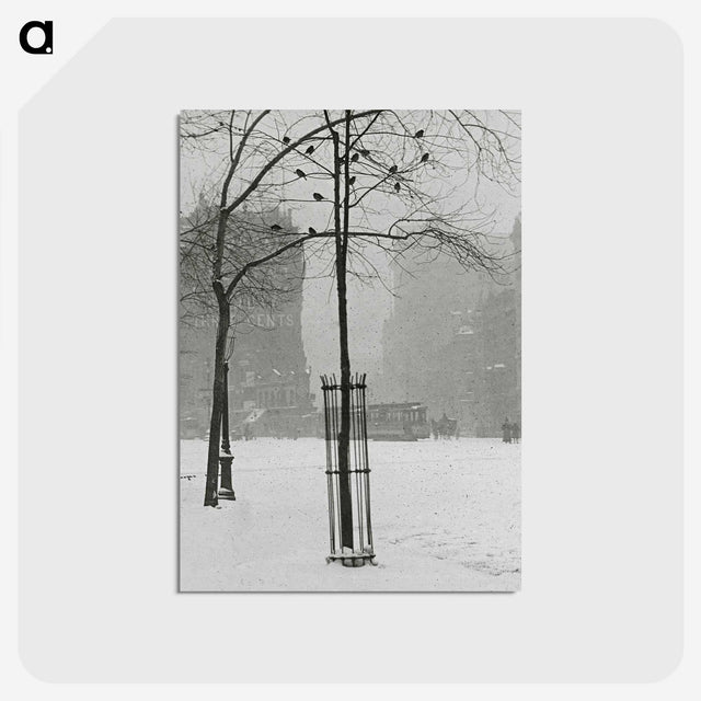 1-59_Alfred-Stieglitz_postcard
