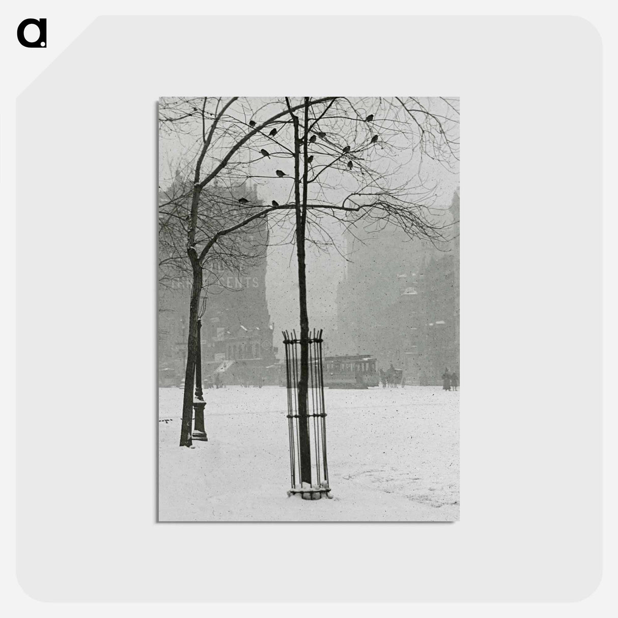 Tree in Snow, New York City - アルフレッド スティーグリッツ Postcard.