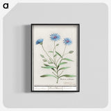1-59_Anselmus-Boetius-de-Boodt_blk-crop