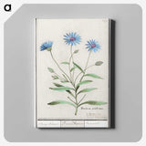 1-59_Anselmus-Boetius-de-Boodt_canvas