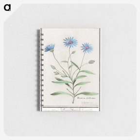 1-59_Anselmus-Boetius-de-Boodt_memo
