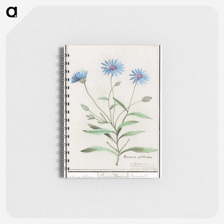 1-59_Anselmus-Boetius-de-Boodt_memo