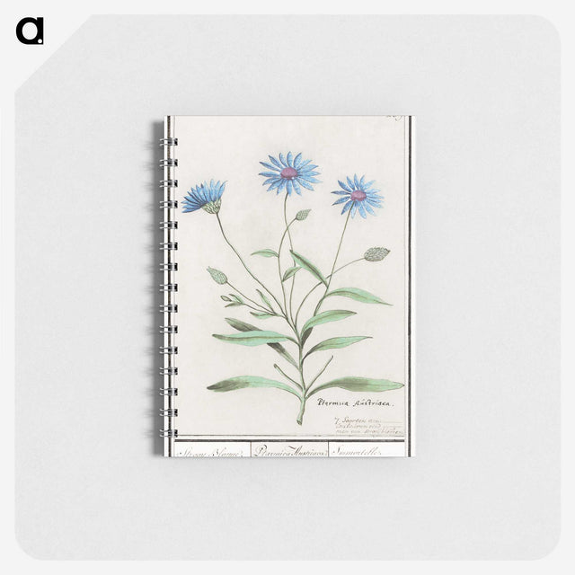 1-59_Anselmus-Boetius-de-Boodt_memo