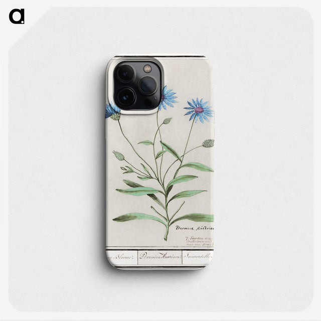 1-59_Anselmus-Boetius-de-Boodt_phone