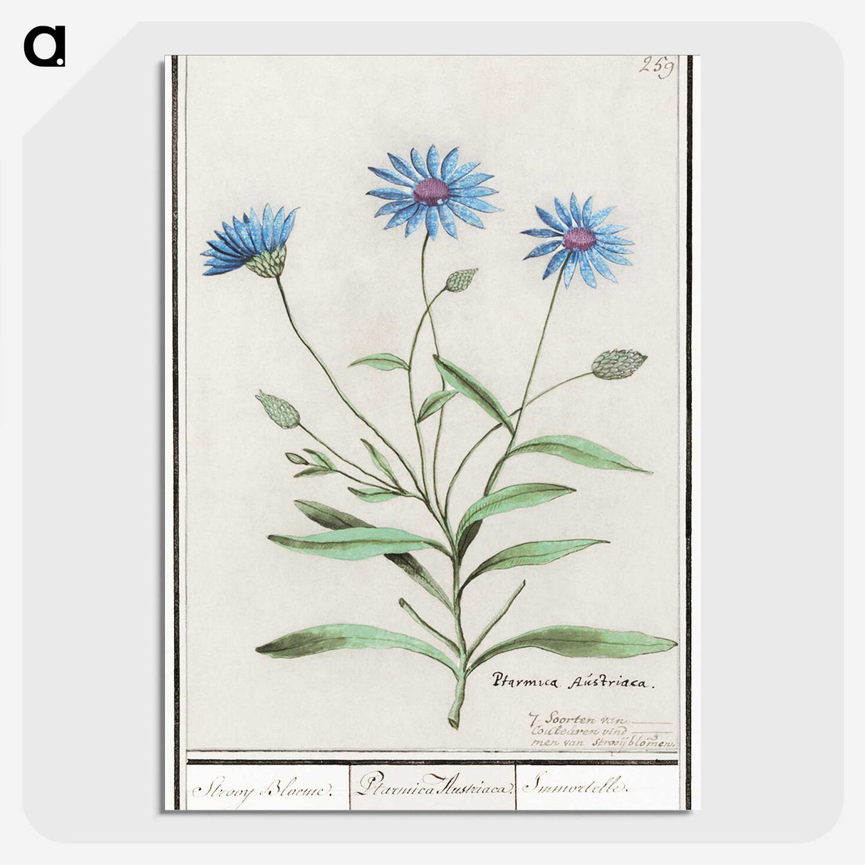 1-59_Anselmus-Boetius-de-Boodt_picture-crop