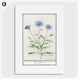 1-59_Anselmus-Boetius-de-Boodt_picture