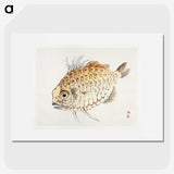 1-59_Bairei-Gakan_picture