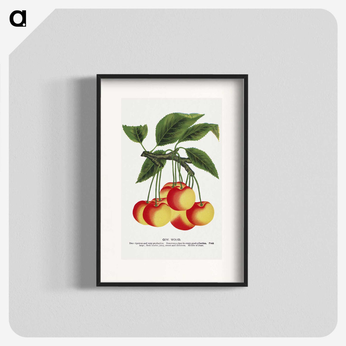 1-59_Botanical-Specimen-Plates_blk
