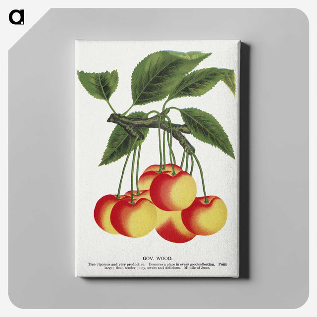 1-59_Botanical-Specimen-Plates_canvas