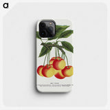 1-59_Botanical-Specimen-Plates_phone