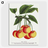 1-59_Botanical-Specimen-Plates_picture-crop