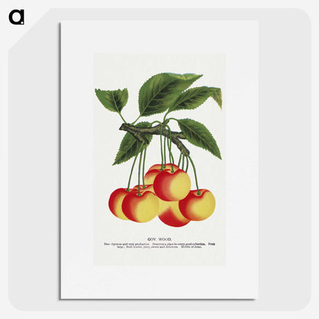 1-59_Botanical-Specimen-Plates_picture