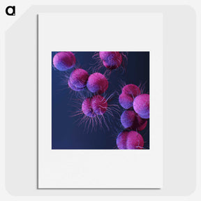 1-59_COVID-19_picture