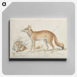 1-59_Charles-Hamilton-Smith_canvas