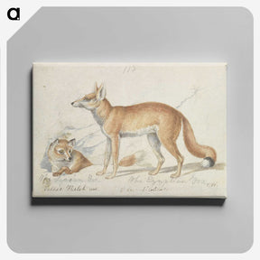 1-59_Charles-Hamilton-Smith_canvas