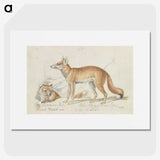 1-59_Charles-Hamilton-Smith_picture