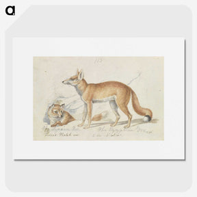 1-59_Charles-Hamilton-Smith_picture