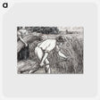アートポストカード-The Harvest
 - ダラス美術館 Postcard.