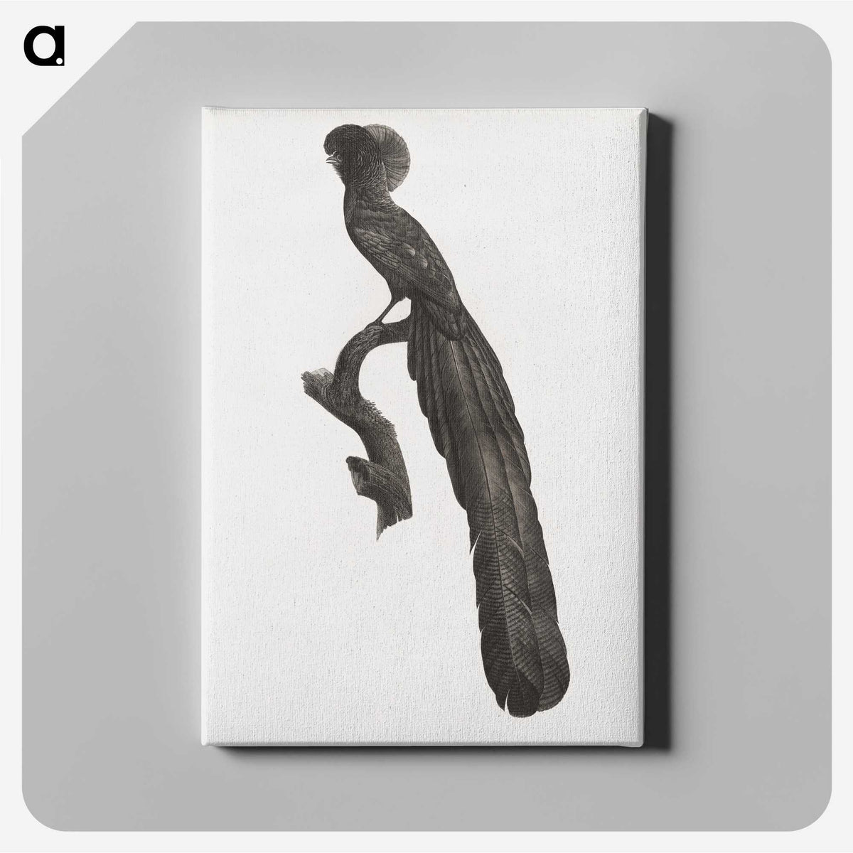 1-59_Des-Oiseaux-de-Paradis_canvas