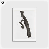 1-59_Des-Oiseaux-de-Paradis_hagaki