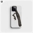 1-59_Des-Oiseaux-de-Paradis_phone