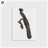 1-59_Des-Oiseaux-de-Paradis_postcard