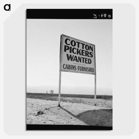 1-59_Dorothea-Lange_picture-crop