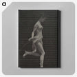 1-59_Eadweard-Muybridge_canvas