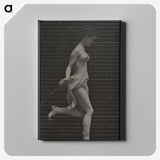 1-59_Eadweard-Muybridge_canvas