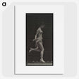 1-59_Eadweard-Muybridge_picture