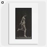 1-59_Eadweard-Muybridge_picture