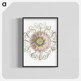 1-59_Ernst-Haeckel_blk-crop