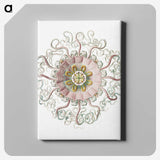 1-59_Ernst-Haeckel_canvas