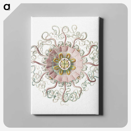 1-59_Ernst-Haeckel_canvas