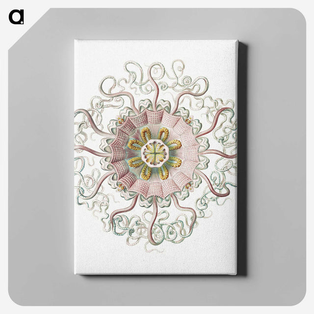 1-59_Ernst-Haeckel_canvas