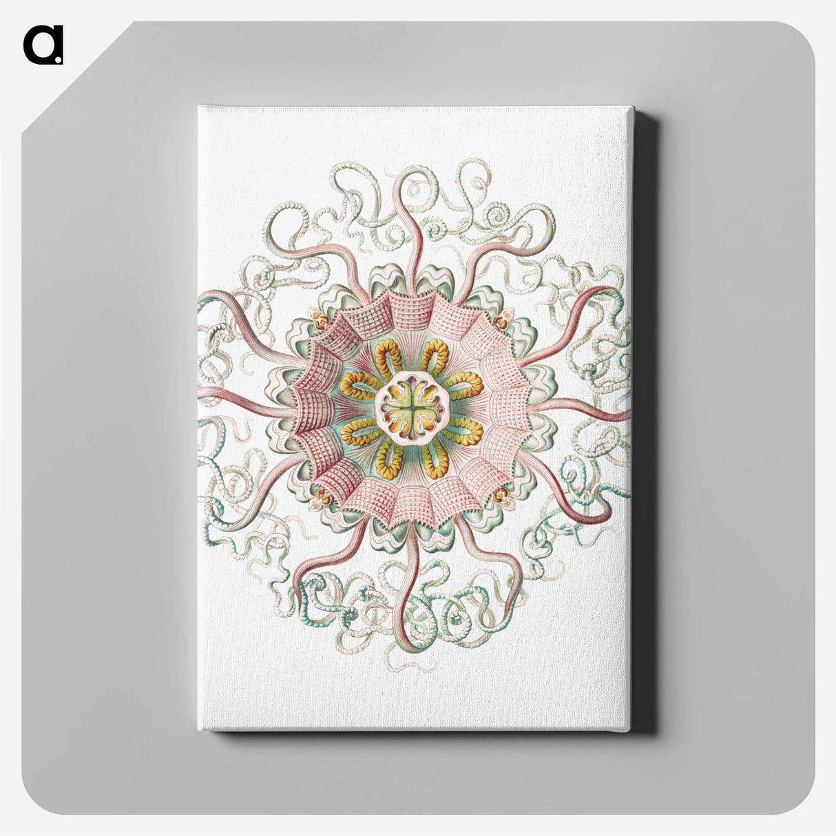 Vintage jellyfish marine life illustration - エルンスト ヘッケル Canvas.