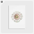 アートポストカード-Vintage jellyfish marine life illustration - エルンスト ヘッケル Postcard.