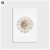 アートポストカード-Vintage jellyfish marine life illustration - エルンスト ヘッケル Postcard.