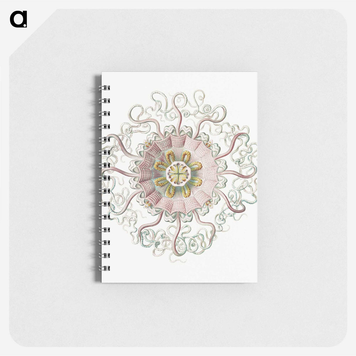 1-59_Ernst-Haeckel_memo