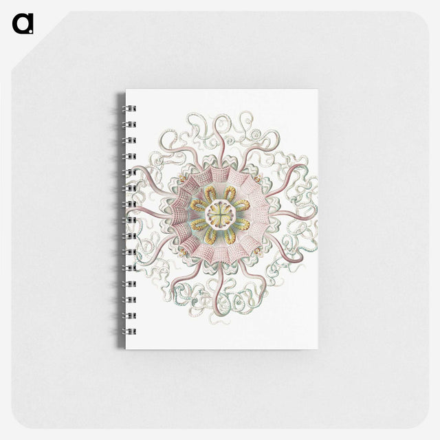 1-59_Ernst-Haeckel_memo