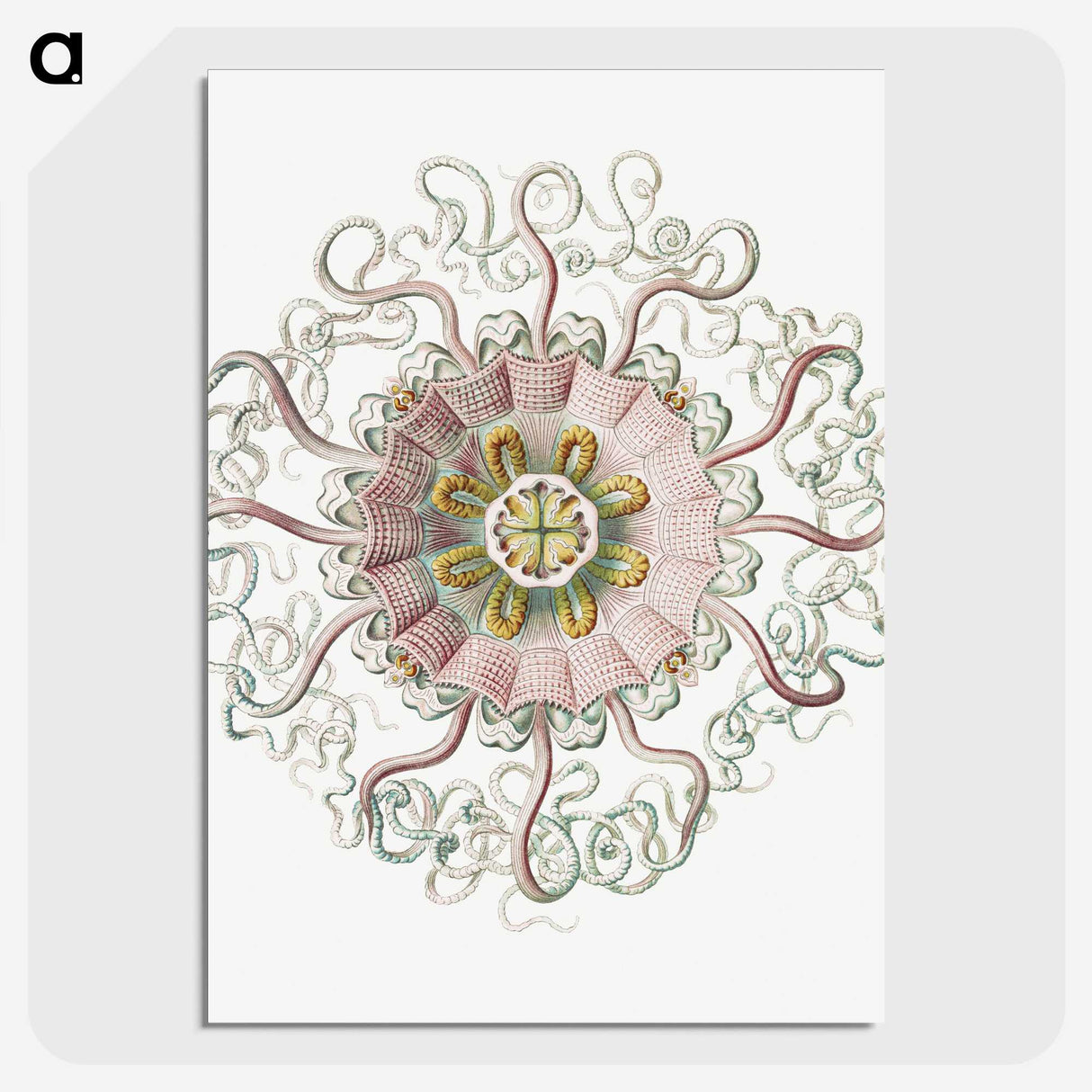 1-59_Ernst-Haeckel_picture-crop